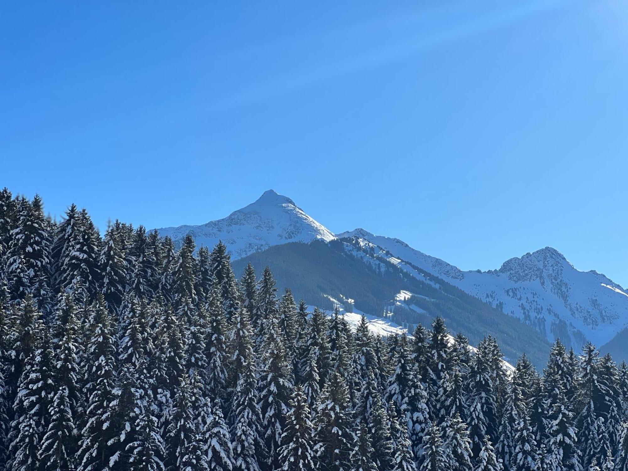 Ferienwohnungen Unterfeld Alpbach Exterior foto