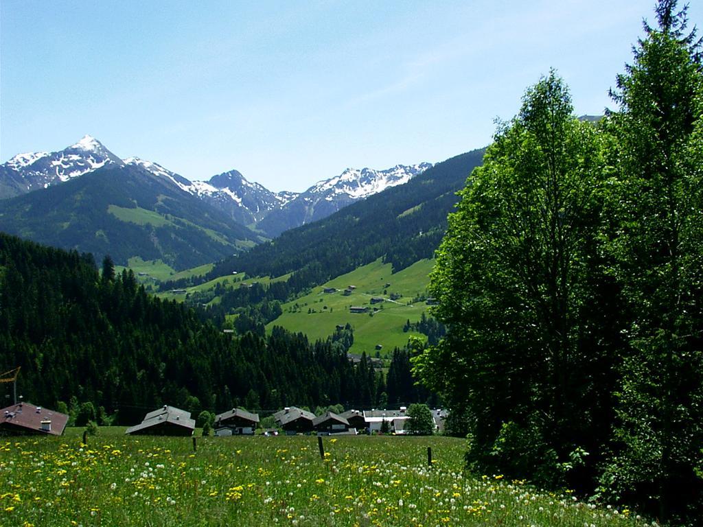 Ferienwohnungen Unterfeld Alpbach Exterior foto